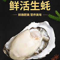秒杀1000单！乳山生蚝 XXXXL 大号 5.5斤 单个3-4两 （带官方溯源防伪标识、死蚝包）