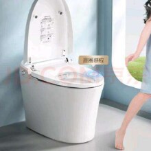 PLUS会员: 恒洁（HEGII）智能马桶一体机HQ562