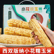 生鲜慕新鲜小花糯玉米1斤云南软糯香甜玉米真空包装即食早餐源头直发