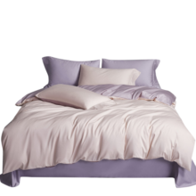 AIDLI 床上四件套A类100支纯棉长绒棉被套床单被罩双人全棉套件 贝洛-粉紫 200*230cm床单款