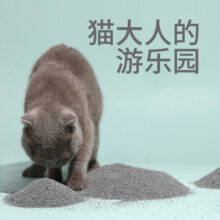 HONEYCARE好命天生膨润土猫砂 天然矿石除臭结团低尘猫沙 干垃圾分类猫砂 活性炭矿石猫砂2.5kg*1袋 膨润土