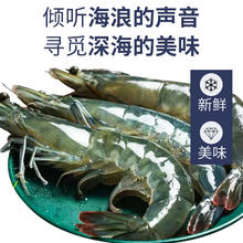 卖鱼郎先生 青岛大虾 净重4斤 70-90只 2kg