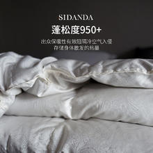20点开始、家装季：SIDANDA 诗丹娜 匈牙利95白鹅绒春秋被 220*240cm