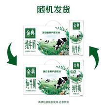多人团 金典旗舰店纯牛奶250ml*12盒*2整箱
