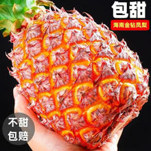 秒杀价！！海南金钻凤梨大果9斤(6-8个)