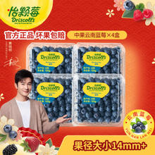 怡颗莓 当季云南蓝莓 国产蓝莓 新鲜水果 云南当季125g*4盒