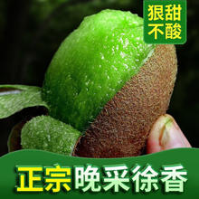 肴池 即食徐香猕猴桃净重5斤可升级大果