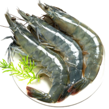 再降价：虾有虾途 超大青虾 14-16厘米 4斤*1盒