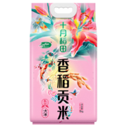 plus会员：十月稻田 香稻贡米 东北大米 5kg＊2件
