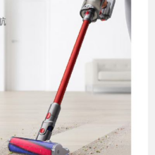PLUS会员、京东百亿补贴：DYSON 戴森 V11 Fluffy 智能大吸力吸尘器 185AW LCD智能数显
