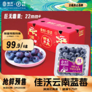 JOYVIO 佳沃 云南精选蓝莓巨无霸22mm+ 6盒装 约125g/盒 生鲜水果