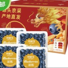 京东百亿补贴、plus会员：京鲜生 云南蓝莓 4盒装 果径18mm+