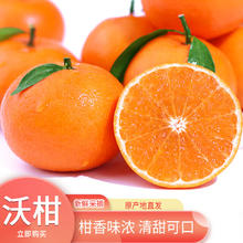 惠味福 云南沃柑 新鲜柑橘水果丑柑应季水果 时令柑橘 5斤精选果65-70mm