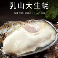 秒杀1000单！乳山生蚝 XXXXXL特大号 5.5斤装 （带官方溯源防伪标识、死蚝包赔）