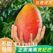 京东plus、百亿补贴:田良季海南贵妃芒果5斤装