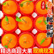 四川春见耙耙柑 9斤装 80MM+大果