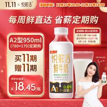 悦鲜活 鲜牛奶 A2β-酪蛋白鲜奶 活性蛋白 低温奶 950ml*1瓶 定期购