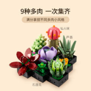 88VIP会员：LEGO 乐高 肉质植物10309儿童拼插积木玩具18+生日礼物