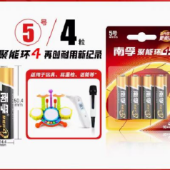NANFU 南孚 5号碱性电池 1.5V 4粒