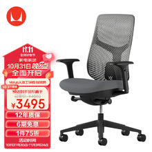 赫曼米勒 HERMAN MILLER）Verus人体工学椅 电脑椅 办公椅 座椅 碳黑色