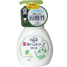 花王儿童洗手液抑菌泡沫原装进口柑橘香240ml/瓶装(新老包装随机发)