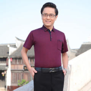 ROMON 罗蒙 罗冠爸爸夏装T恤短袖翻领上衣中老年2024夏季宽松半袖冰丝POLO衫
