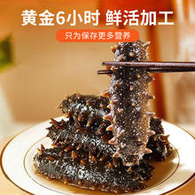 88VIP会员：鱻谣 大连即食海参500g*2