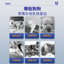 MAG 狗狗天然乳铁蛋白犬用有助增强免疫力宠物少生病