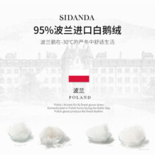 SIDANDA羽绒被波兰95白鹅绒160支全棉抗菌鹅绒 波兰鹅绒 冬被 200*230cm