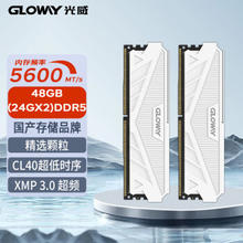 GLOWAY 光威 48GB(24GBx2)套装 DDR5 5600 台式机内存条 天策系列 助力AI