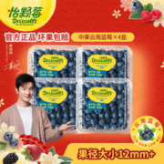 怡颗莓 当季云南蓝莓 Jumbo超大果国产蓝莓 新鲜水果 云南当季125g*4盒