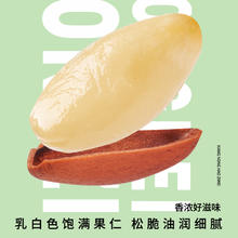 每果时光 包邮每果时光特大东北松子500g特级大开口新货每日坚果炒货零食