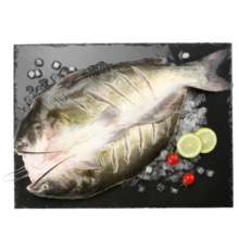 钓鱼记 国产叉尾鮰鱼500g-650g 三去净重 冷冻 烤鱼红烧烤生鲜 鱼类海鲜