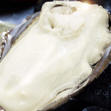 PLUS会员：蜀皇 鲜活乳山生蚝特大号 3XL(12-18)只 5斤*3件