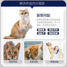 88VIP会员：RAMICAL 雷米高 澳丽得猫粮通用10kg猫粮海洋鱼味成猫幼猫增肥鱼肉20斤装
