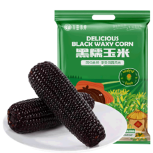 京东PLUS：华田禾邦 零0添加 东北黑糯玉米6支 1.2~1.4kg