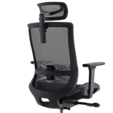 恋树（LIANSHU）F08升级版 人体工学电脑椅 家用办公椅 多功能椅 学习椅电竞椅子 黑色（网布座垫）