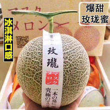 秒杀1000箱！海南 网纹瓜 9斤装（2-4个装）