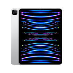 Apple 苹果 iPad Pro 12.9平板电脑 2021款 256GB WLAN版 苹果认证翻新