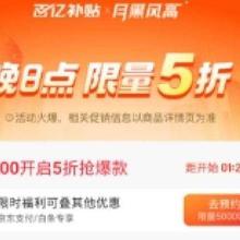 20点、促销活动：京东 百亿补贴 月黑风高夜 限量开启
