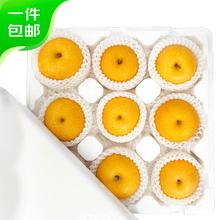 Mr.Seafood 京鲜生 青青大地莱阳秋月梨优等果净重4斤 8-10粒单果200g+ 源头直发