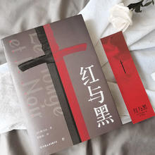 百亿补贴：《红与黑》