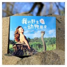 我的野生动物朋友全新完整版蒂皮德格雷人与自然科学科普8-10-12周岁一二年级小学生课外阅读儿童读物接力出版