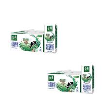 yili 伊利 2月产伊利金典纯牛奶250ml*12盒*2箱 礼盒装 正品保证