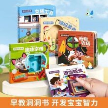 奇妙洞洞书 套装共5册