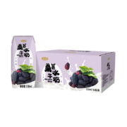 左江桑葚水牛奶210ml*10盒