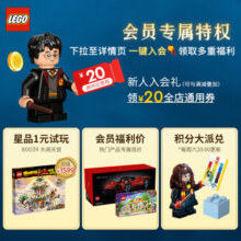 乐高（LEGO）积木拼装哈利波特76385霍格沃茨时刻魔咒课8岁+儿童玩具生日礼物