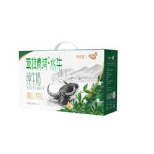 diequan 蝶泉 新希望亚拉青波水牛纯牛奶200ml*12*3箱装 全脂高钙纯牛奶