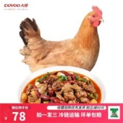 DOYOO 大用 走地三黄鸡850g/整只（买1赠2原品）