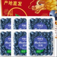 plus会员、京东百亿补贴:京鲜生 云南蓝莓 6盒 约125g/盒 15mm+